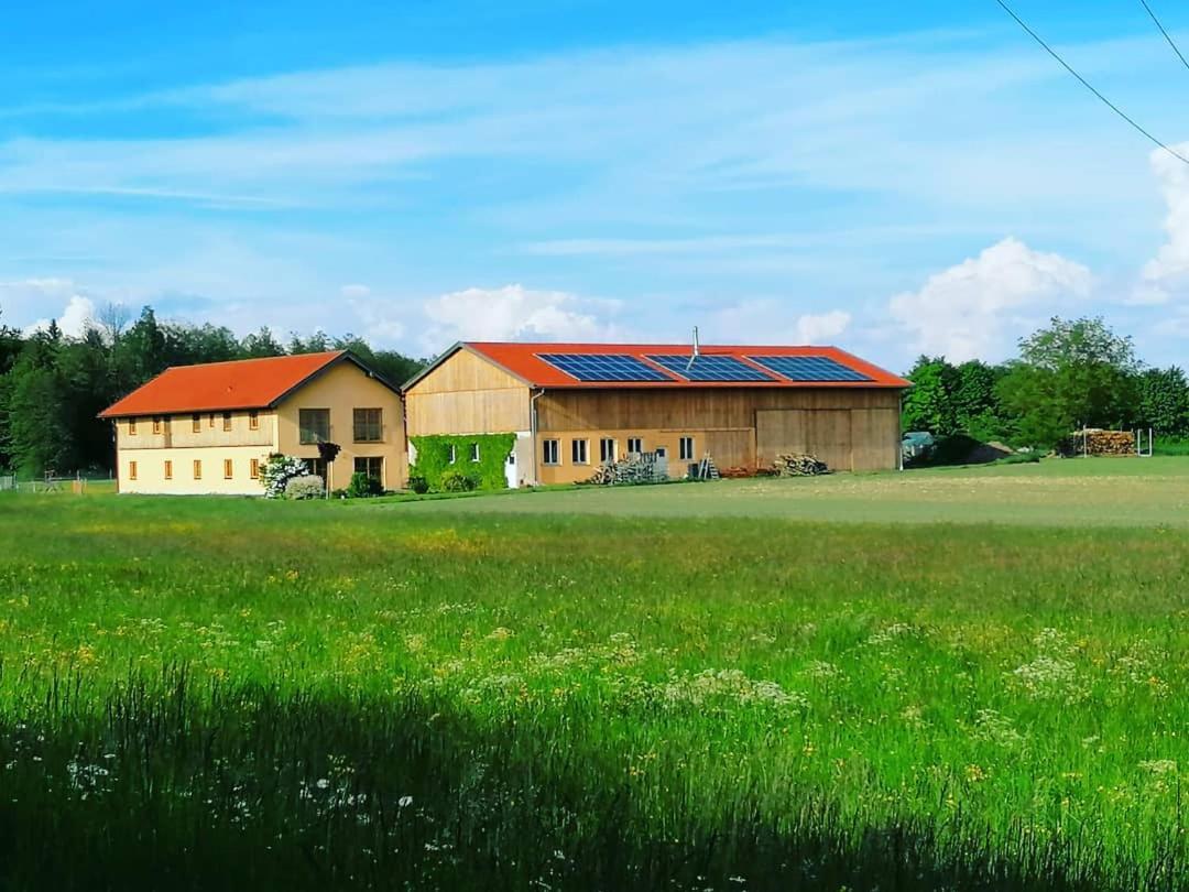 Niedergerner Alpaka Ranch Leilighet Haiming Eksteriør bilde